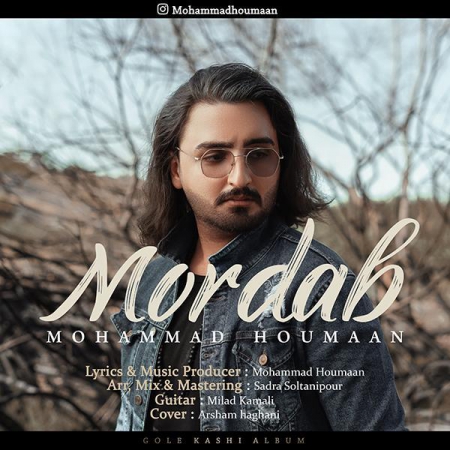 محمد هومان – مرداب